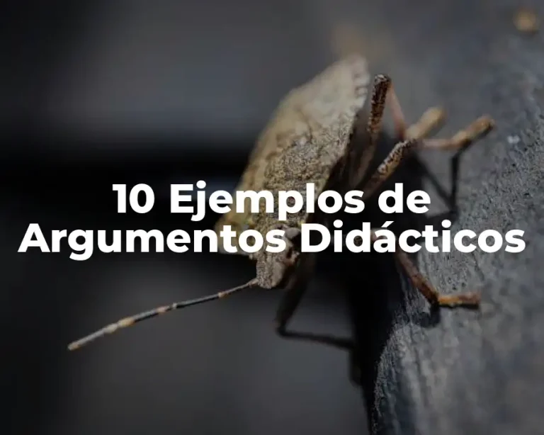 10 Ejemplos de Argumentos Didácticos