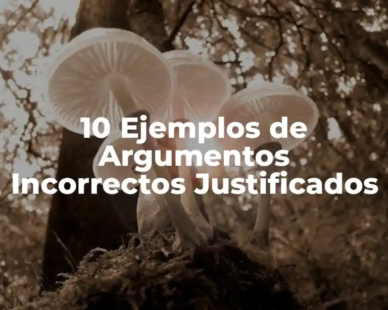 10 Ejemplos de Argumentos Incorrectos Justificados