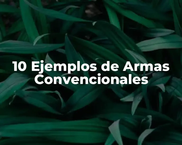 10 Ejemplos de Armas Convencionales
