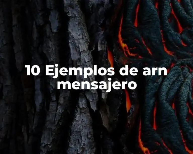 10 Ejemplos de arn mensajero