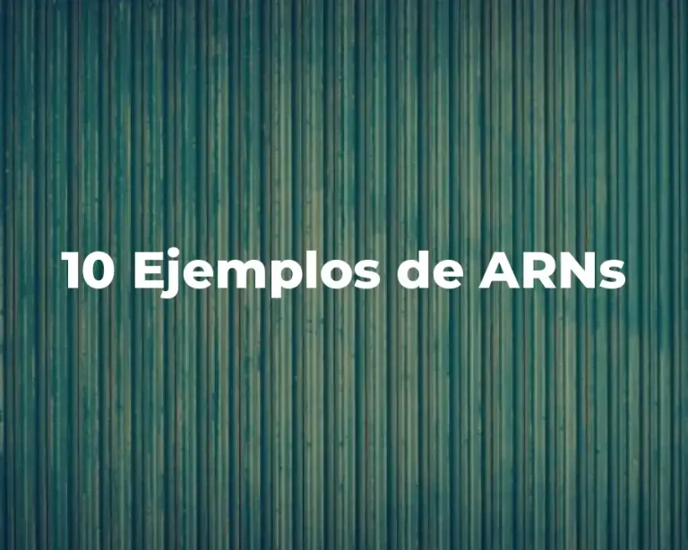 10 Ejemplos de ARNs