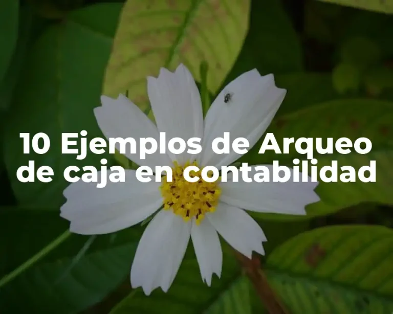 10 Ejemplos de Arqueo de caja en contabilidad