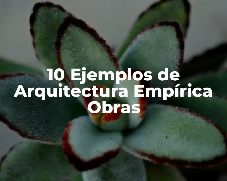 10 Ejemplos de Arquitectura Empírica Obras