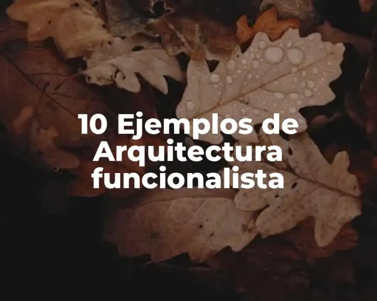 10 Ejemplos de Arquitectura funcionalista