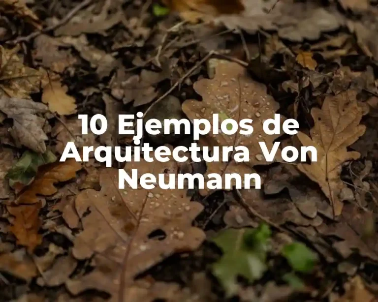 10 Ejemplos de Arquitectura Von Neumann