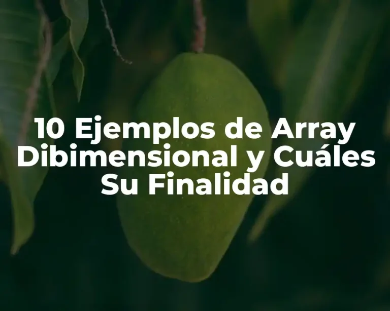 10 Ejemplos de Array Dibimensional y Cuáles Su Finalidad