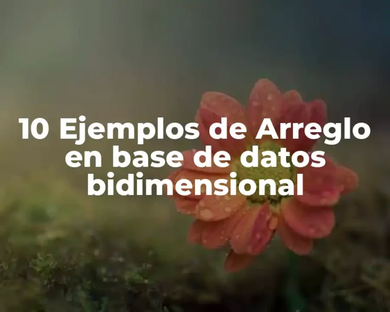 10 Ejemplos de Arreglo en base de datos bidimensional
