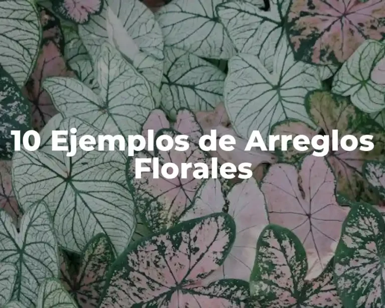 10 Ejemplos de Arreglos Florales
