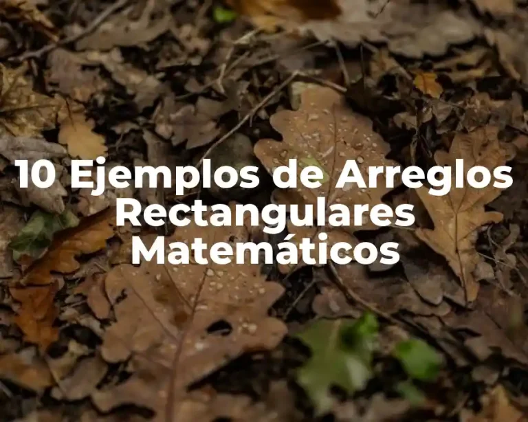 10 Ejemplos de Arreglos Rectangulares Matemáticos