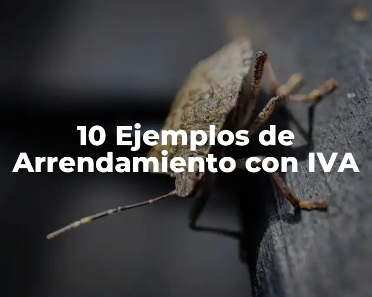 10 Ejemplos de Arrendamiento con IVA