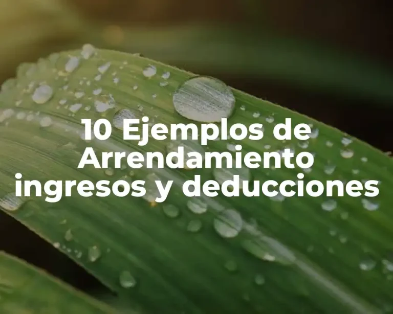 10 Ejemplos de Arrendamiento ingresos y deducciones