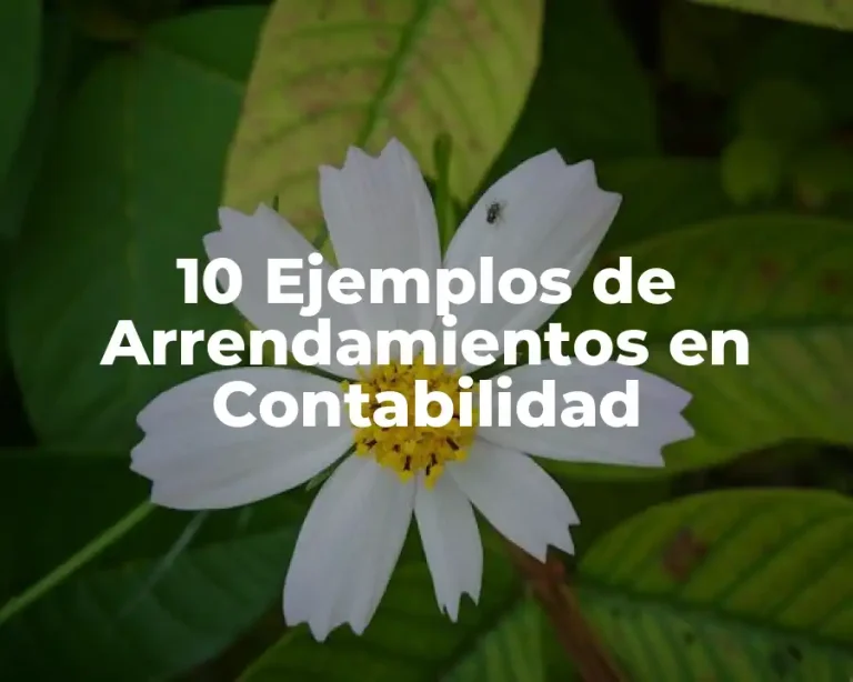 10 Ejemplos de Arrendamientos en Contabilidad