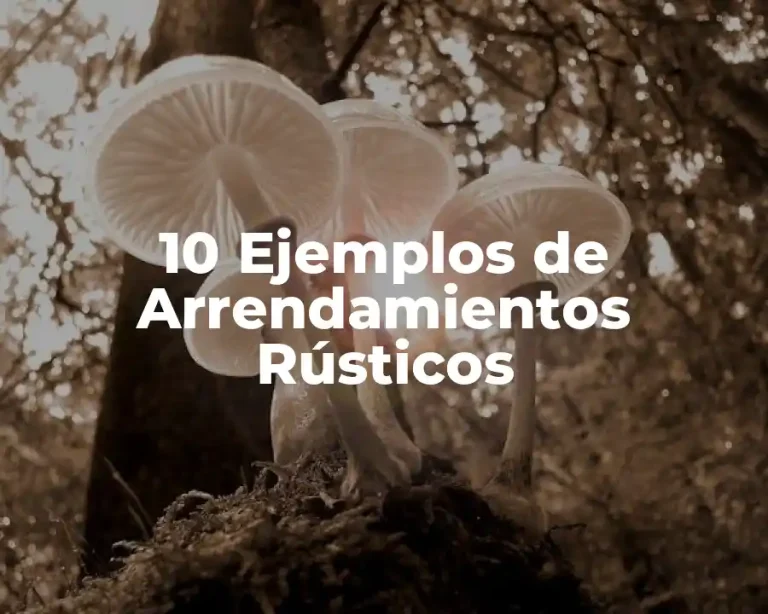 10 Ejemplos de Arrendamientos Rústicos