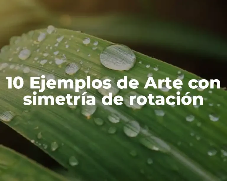 10 Ejemplos de Arte con simetría de rotación
