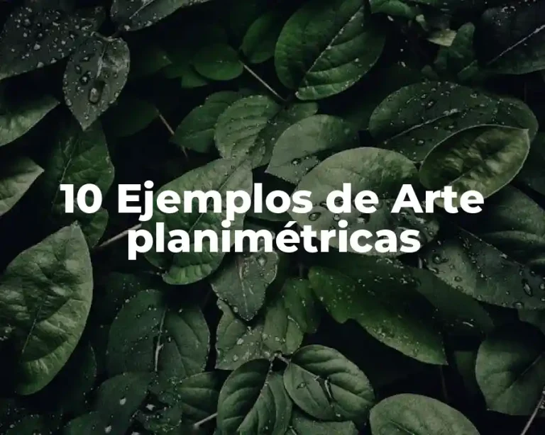 10 Ejemplos de Arte planimétricas