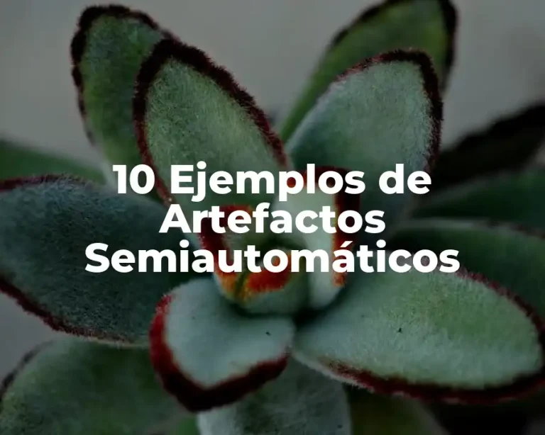 10 Ejemplos de Artefactos Semiautomáticos