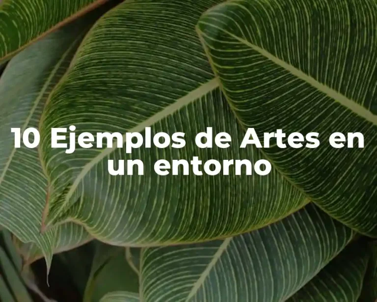 10 Ejemplos de Artes en un entorno