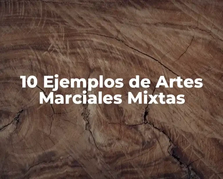 10 Ejemplos de Artes Marciales Mixtas