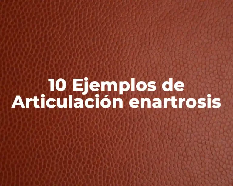 10 Ejemplos de Articulación enartrosis