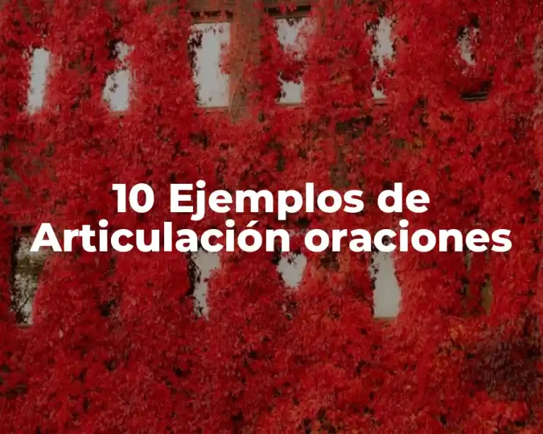 10 Ejemplos de Articulación oraciones