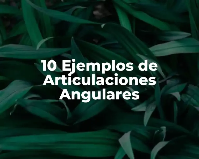 10 Ejemplos de Articulaciones Angulares