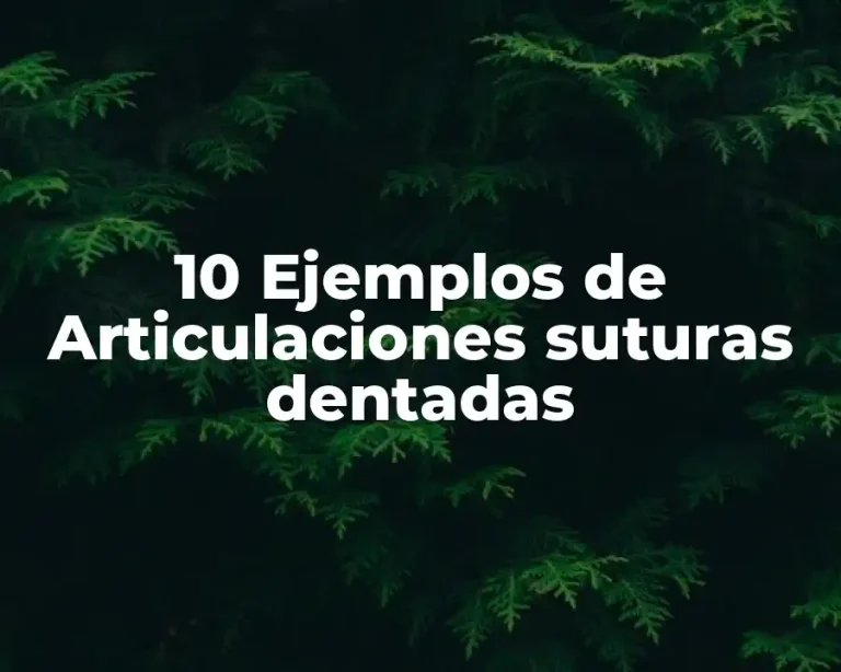 10 Ejemplos de Articulaciones suturas dentadas