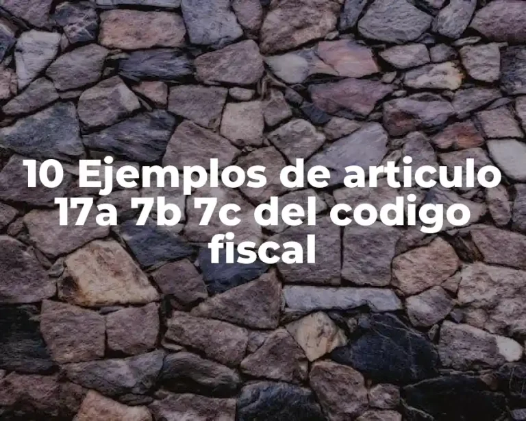 10 Ejemplos de articulo 17a 7b 7c del codigo fiscal