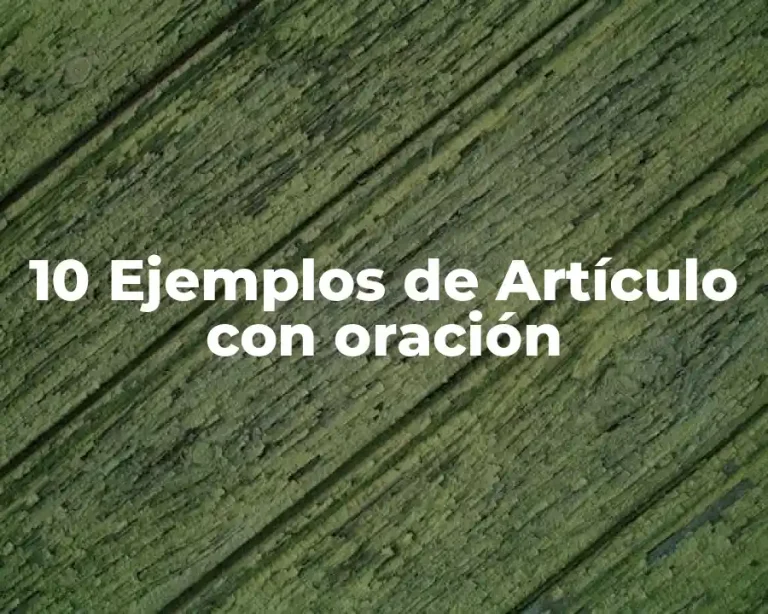 10 Ejemplos de Artículo con oración