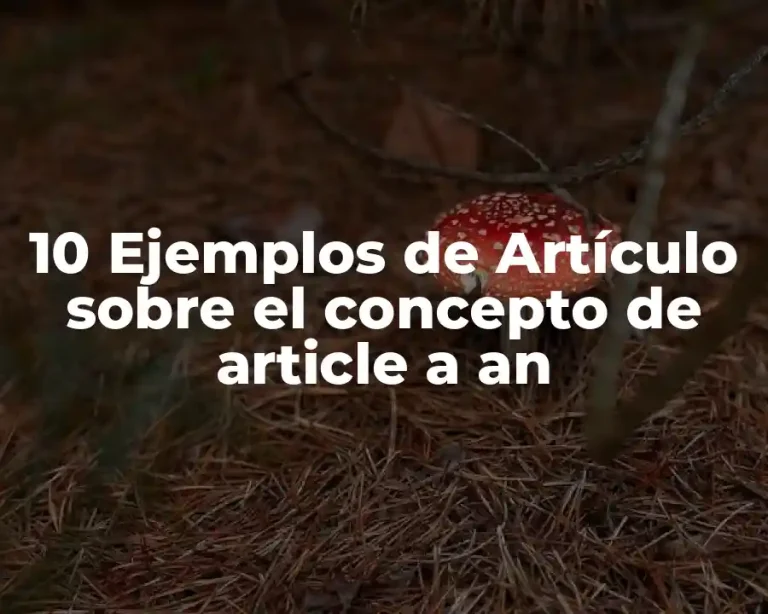 10 Ejemplos de Artículo sobre el concepto de article a an