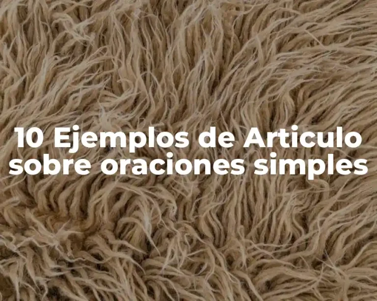 10 Ejemplos de Articulo sobre oraciones simples