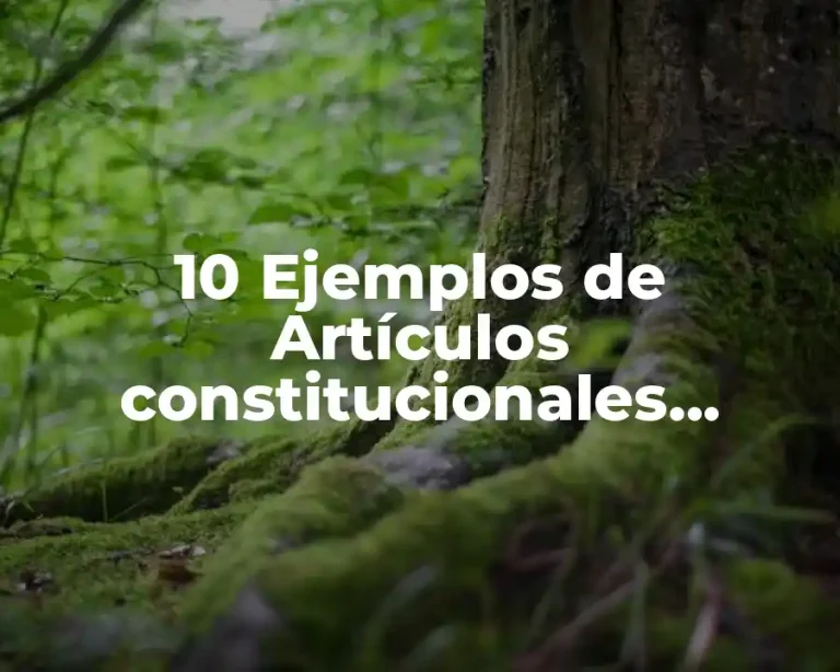 10 Ejemplos de Artículos constitucionales referentes a derecho procesal
