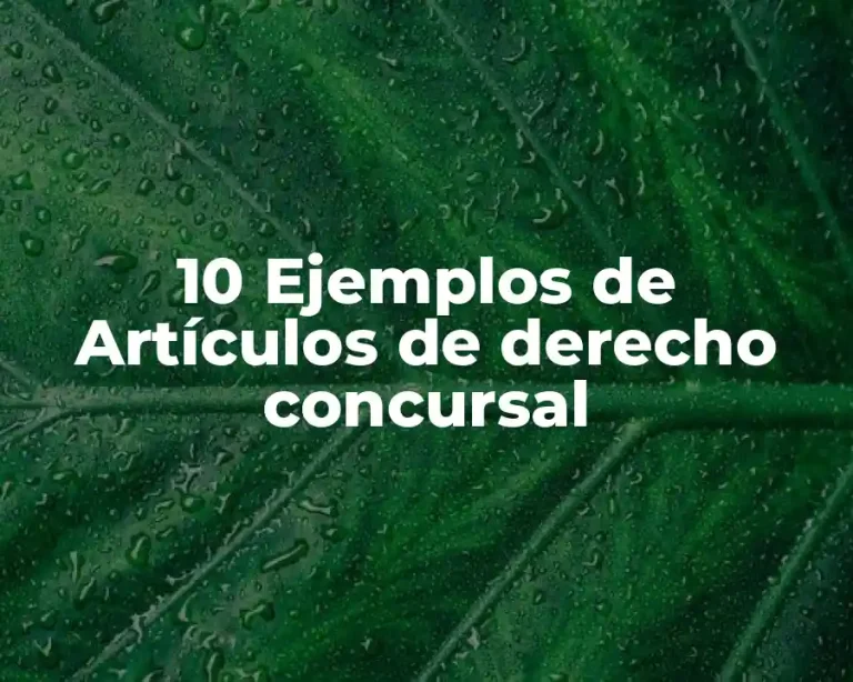 10 Ejemplos de Artículos de derecho concursal
