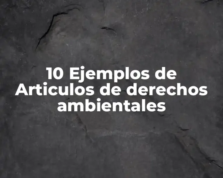 10 Ejemplos de Articulos de derechos ambientales