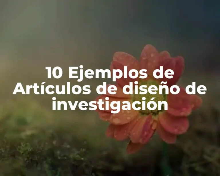 10 Ejemplos de Artículos de diseño de investigación