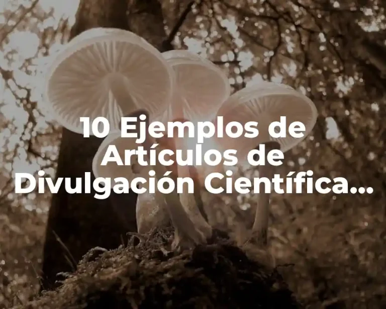 10 Ejemplos de Artículos de Divulgación Científica sobre la Luna