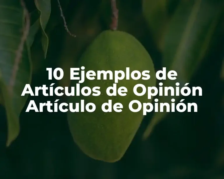 10 Ejemplos de Artículos de Opinión Artículo de Opinión