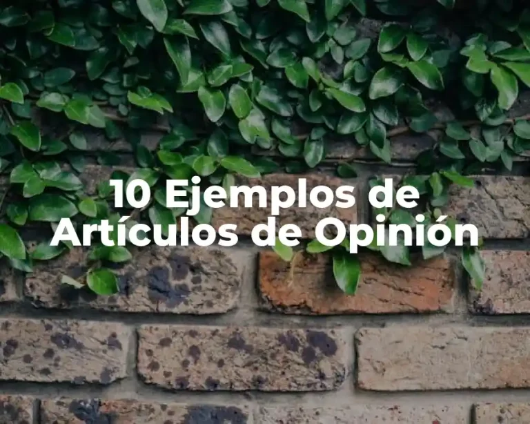 10 Ejemplos de Artículos de Opinión