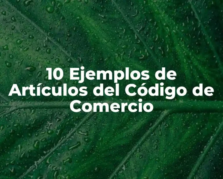 10 Ejemplos de Artículos del Código de Comercio