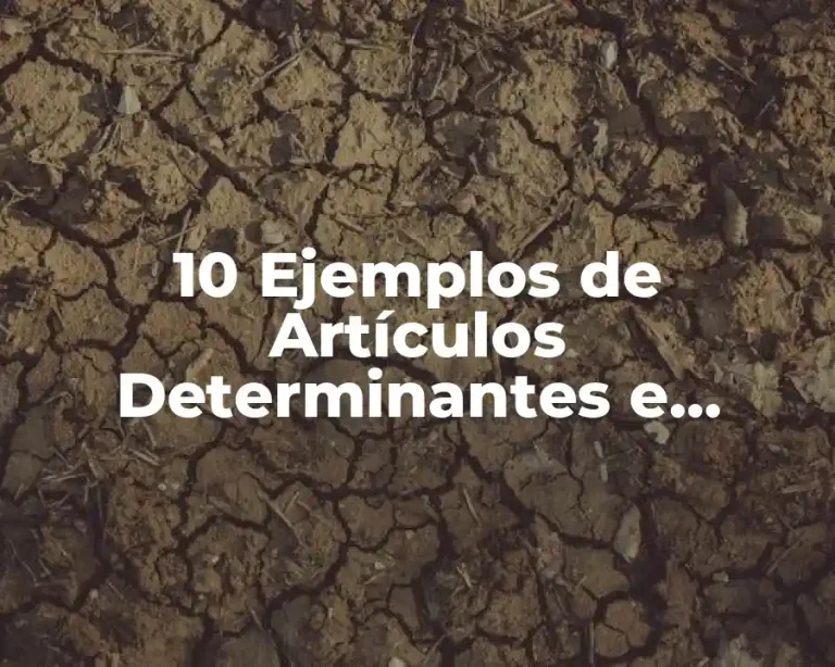 10 Ejemplos de Artículos Determinantes e Indeterminantes