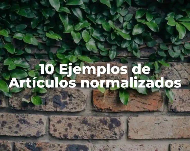 10 Ejemplos de Artículos normalizados