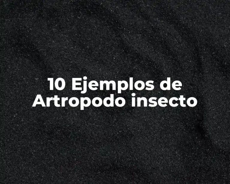 10 Ejemplos de Artropodo insecto
