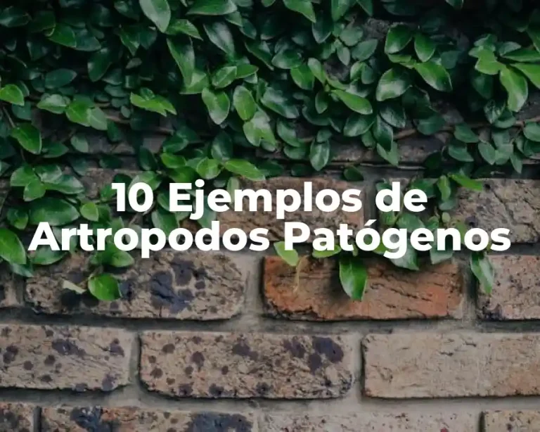 10 Ejemplos de Artropodos Patógenos