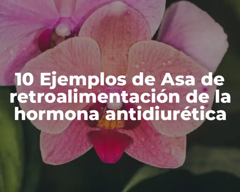 10 Ejemplos de Asa de retroalimentación de la hormona antidiurética