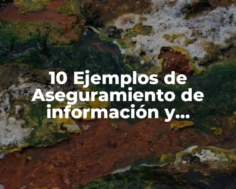 10 Ejemplos de Aseguramiento de información y seguridad