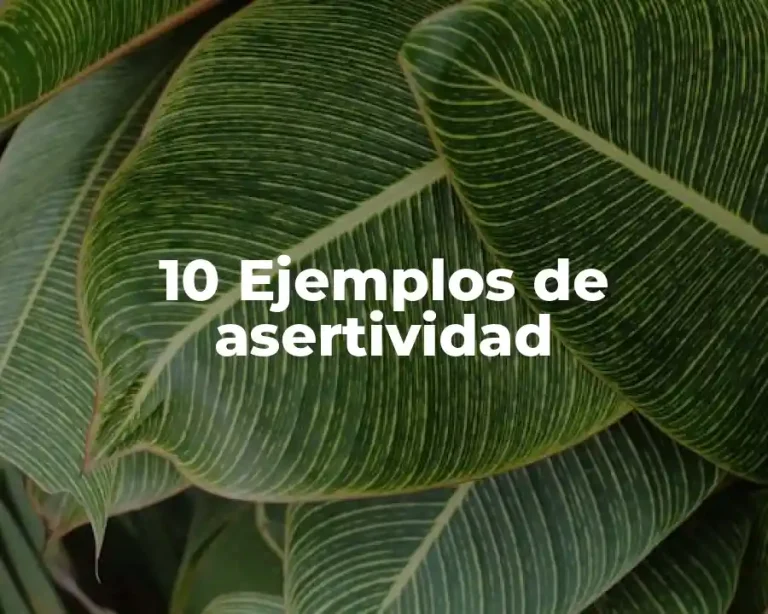 10 Ejemplos de asertividad