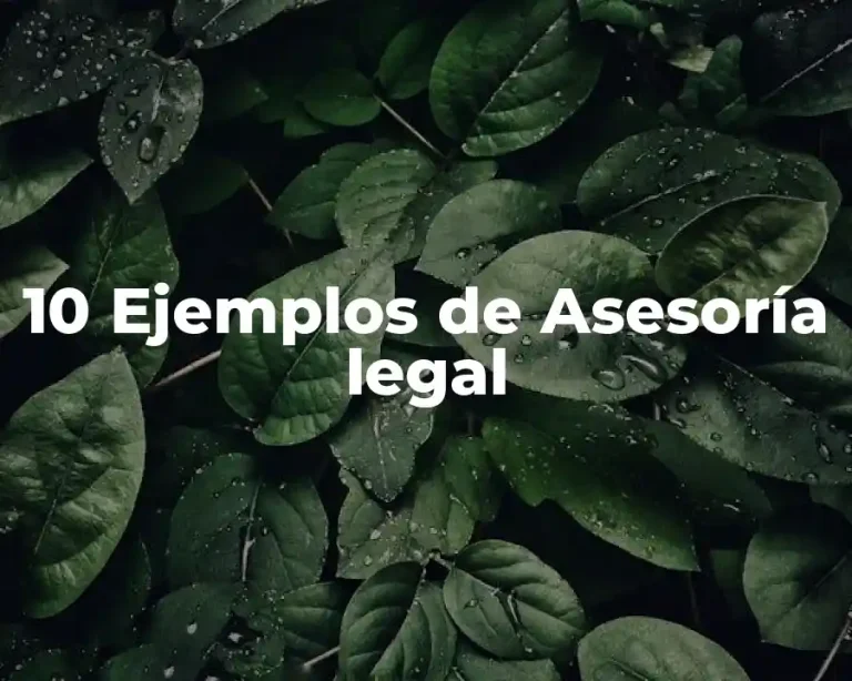 10 Ejemplos de Asesoría legal