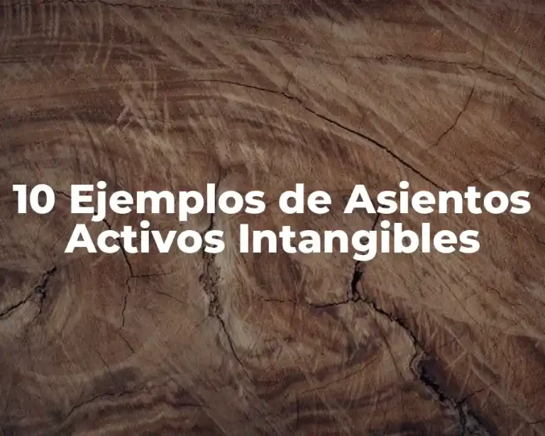 10 Ejemplos de Asientos Activos Intangibles