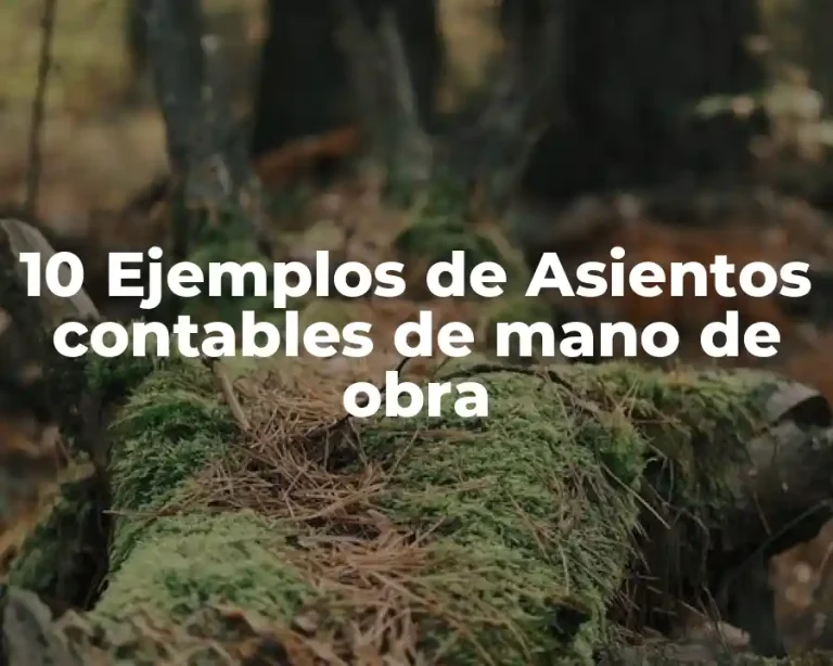 10 Ejemplos de Asientos contables de mano de obra
