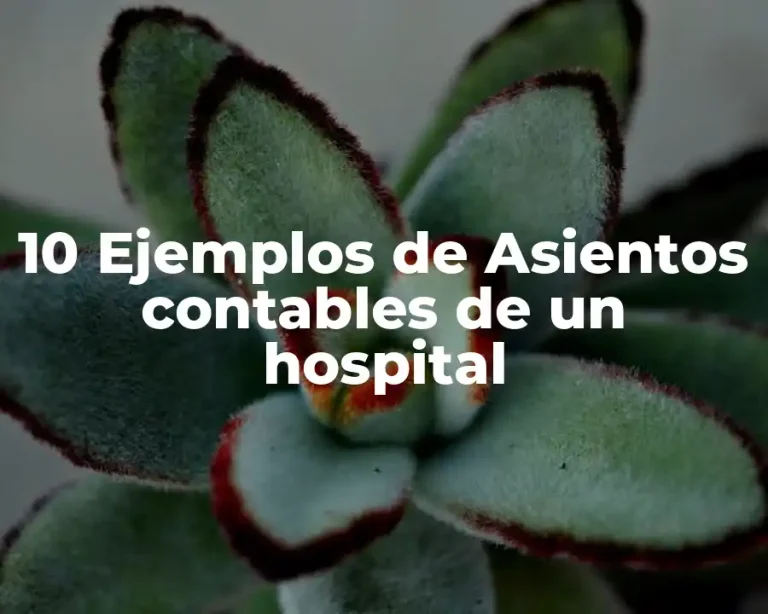 10 Ejemplos de Asientos contables de un hospital