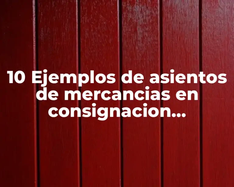 10 Ejemplos de asientos de mercancias en consignacion, Definición, Diferencias y para que sirve